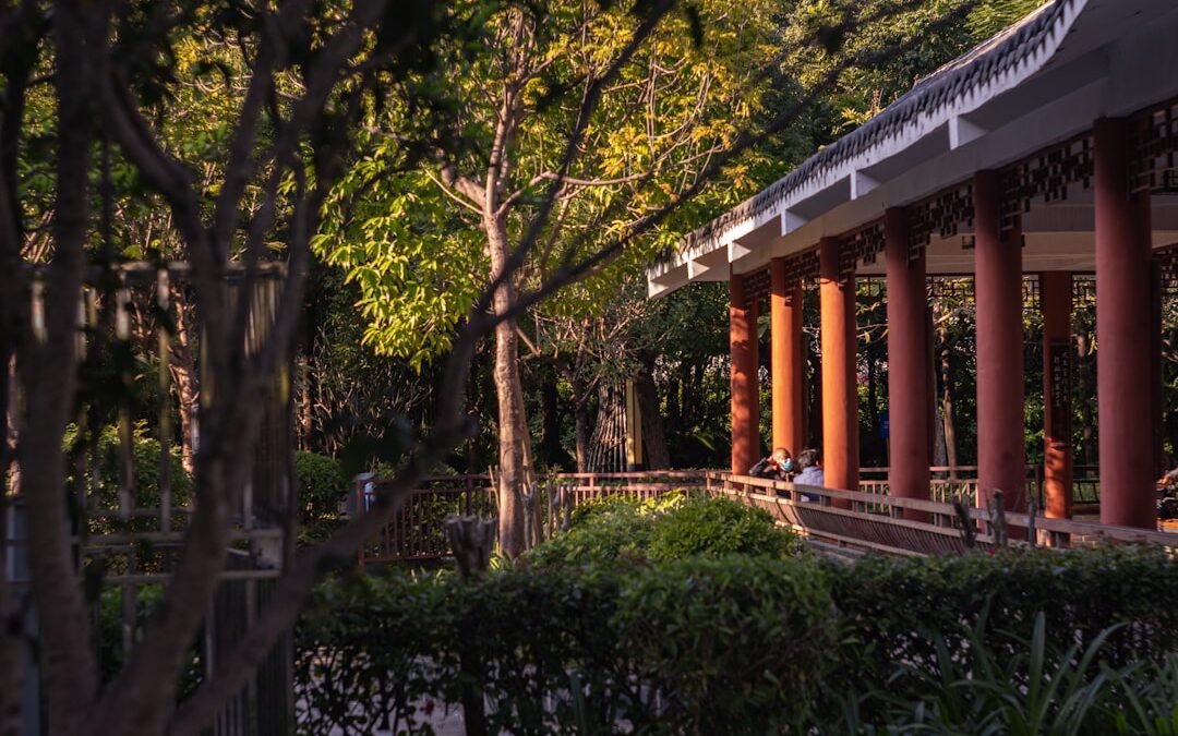 تجربة الرياض في إنشاء مظلات بمواقف السيارات