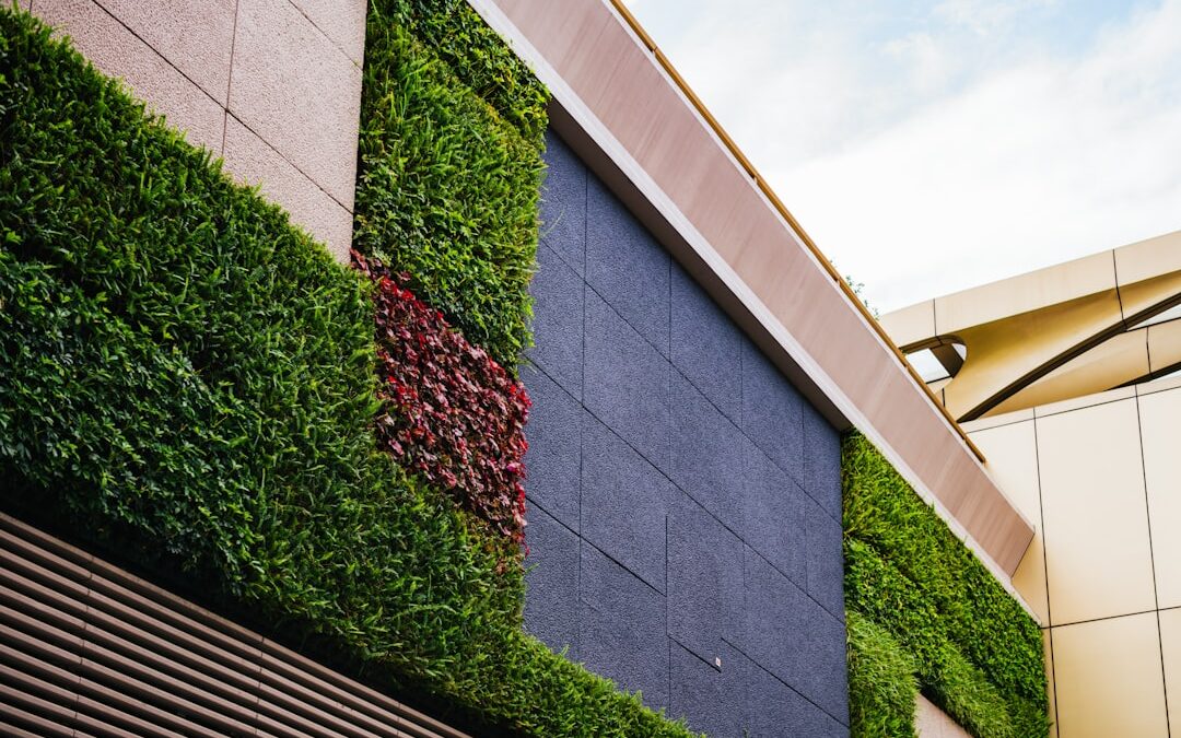 حلول التظليل المستدامة في المواقف العامة