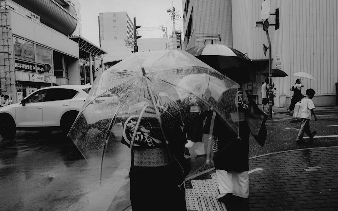 المظلات الثابتة مقابل المظلات القابلة للطي: أيهما أفضل للمنزل؟