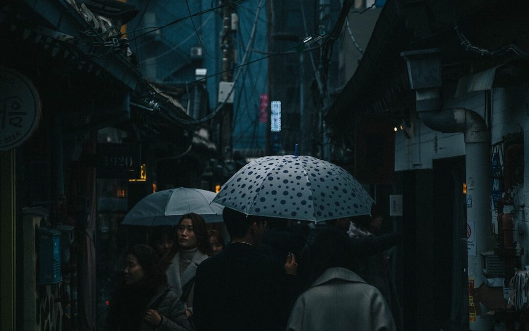 خطوات طلب مظلتك عبر موقعنا بسهولة