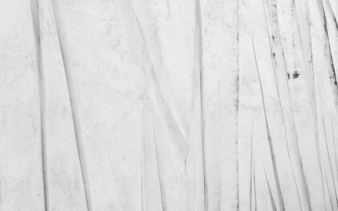 مظلات الفايبر جلاس: الأناقة مع المتانة