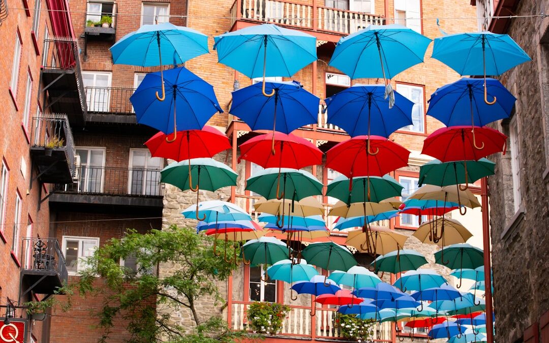 Photo umbrella maintenance