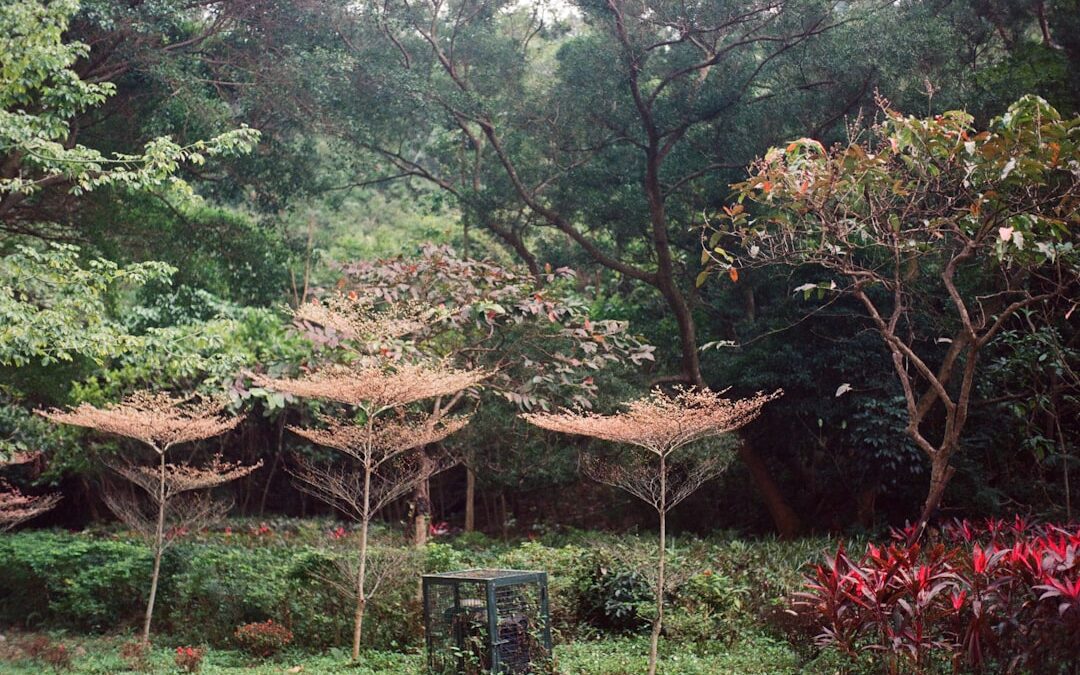 دور المظلات في حماية الأطفال والمارة في المواقف